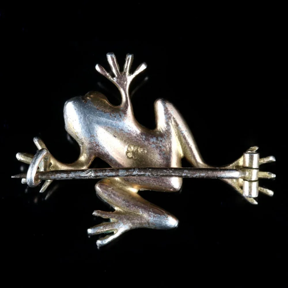 Antique Victorian Turquoise Silver Frog Brooch Circa 1900