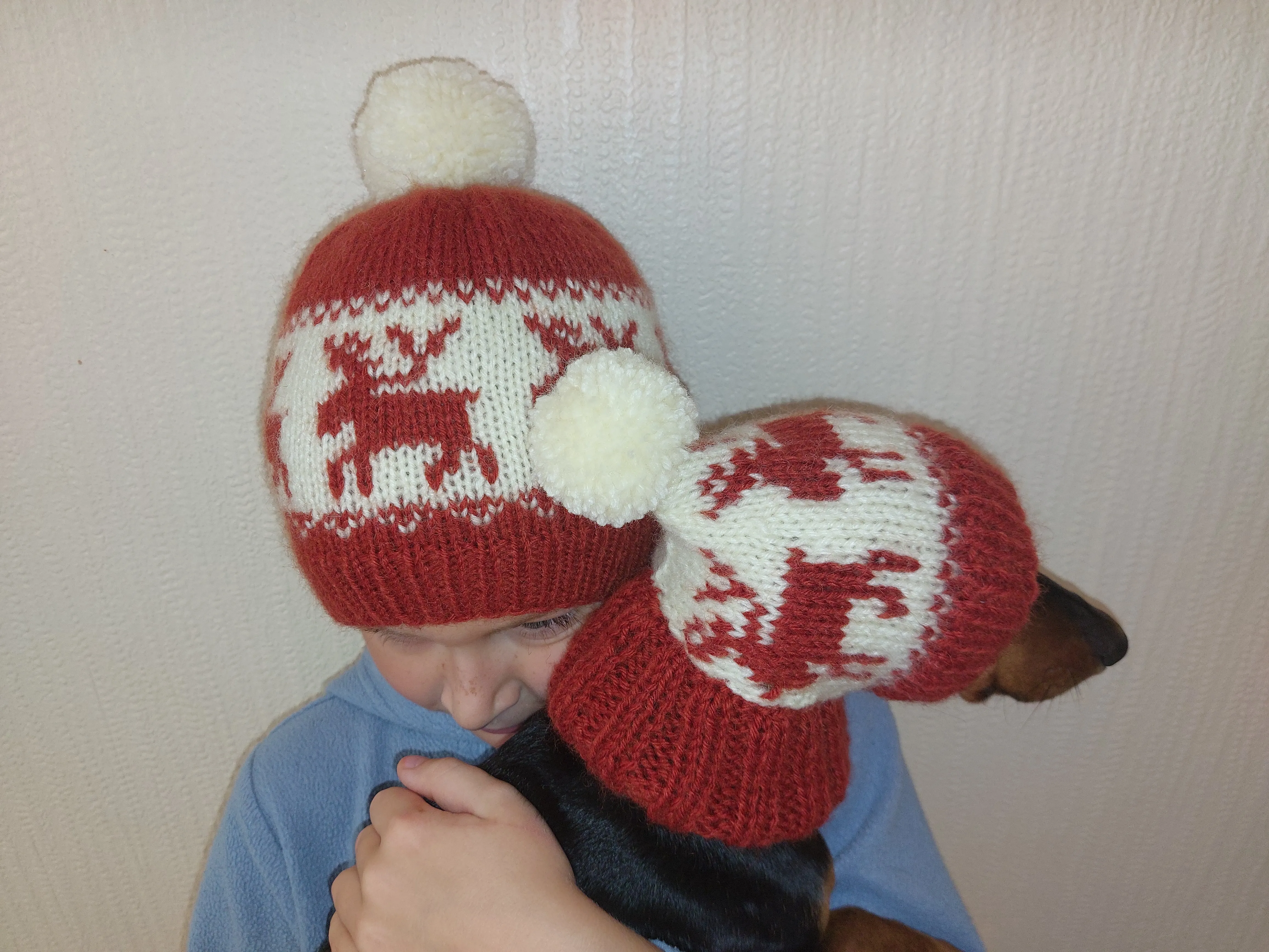 Christmas deer matching outfit set of hats for mom and dog