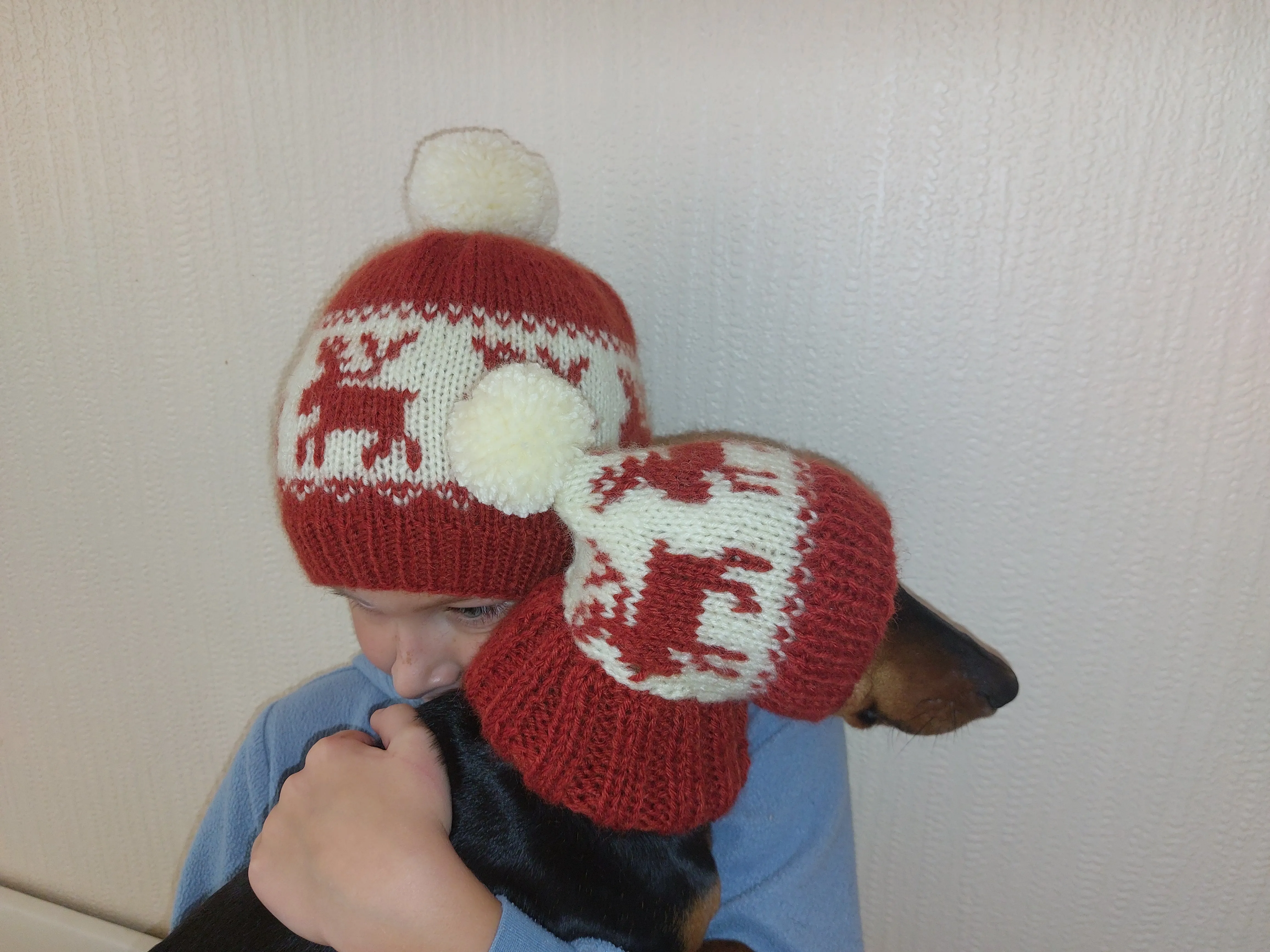 Christmas deer matching outfit set of hats for mom and dog