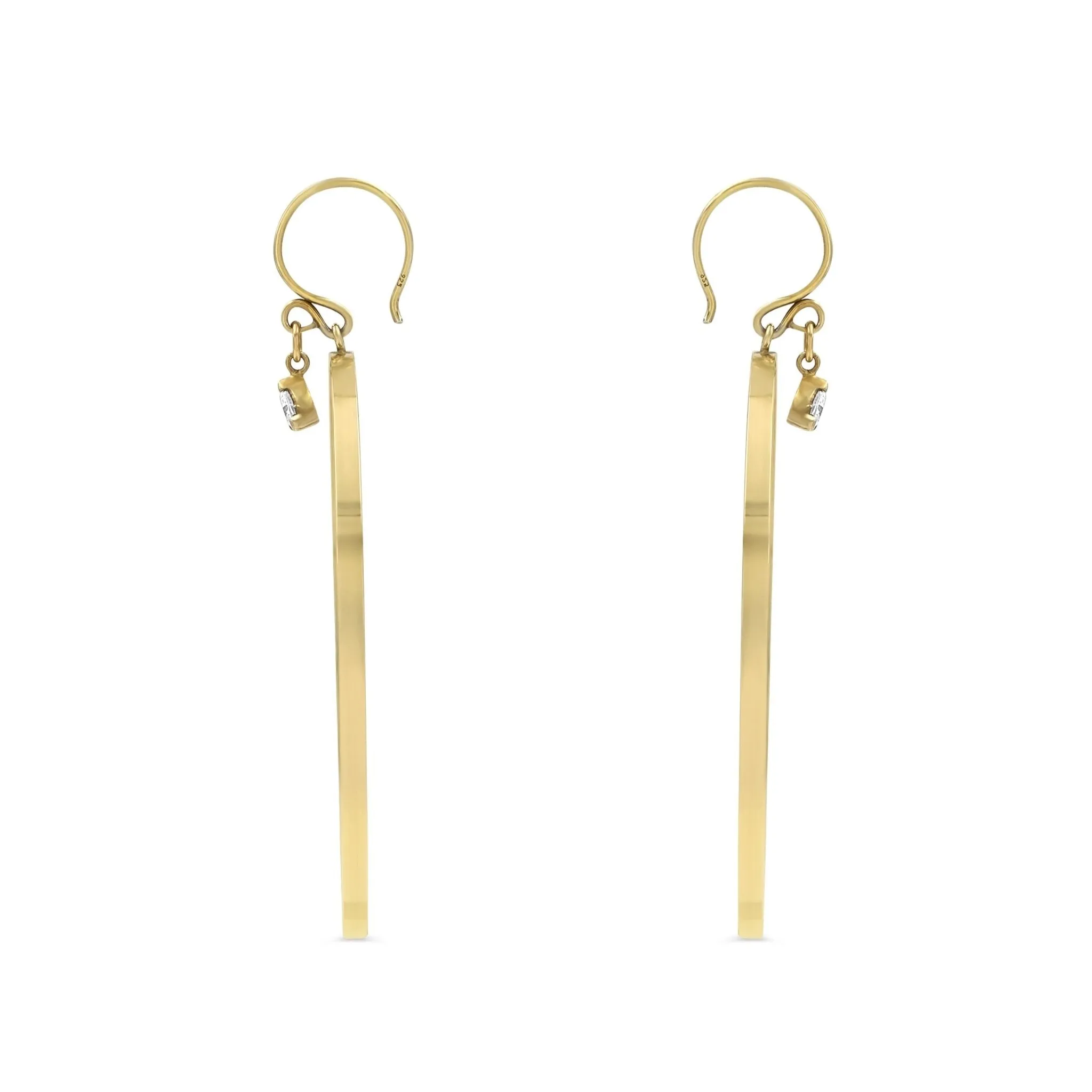 Dangle Hoop Earrings W/ Charm