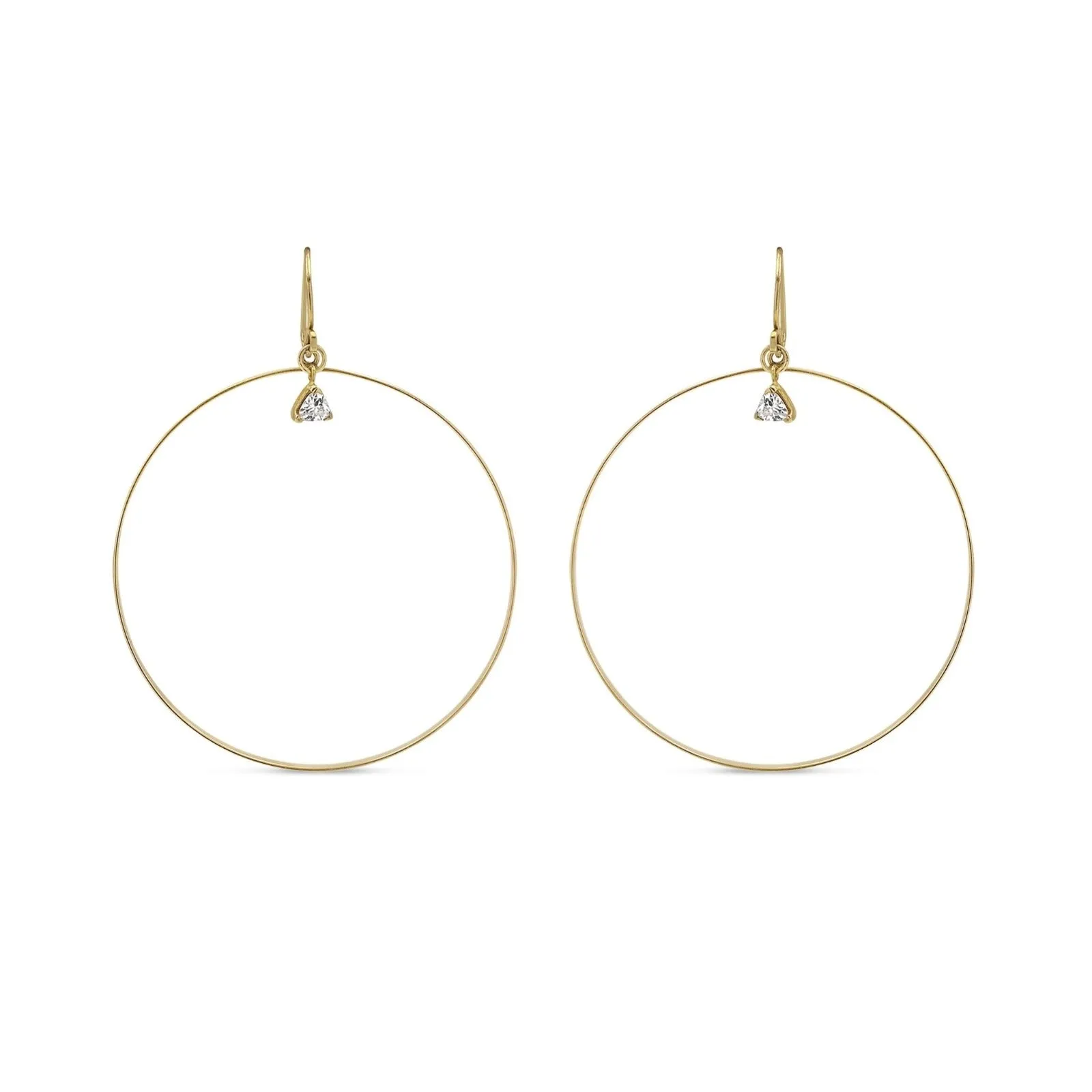 Dangle Hoop Earrings W/ Charm