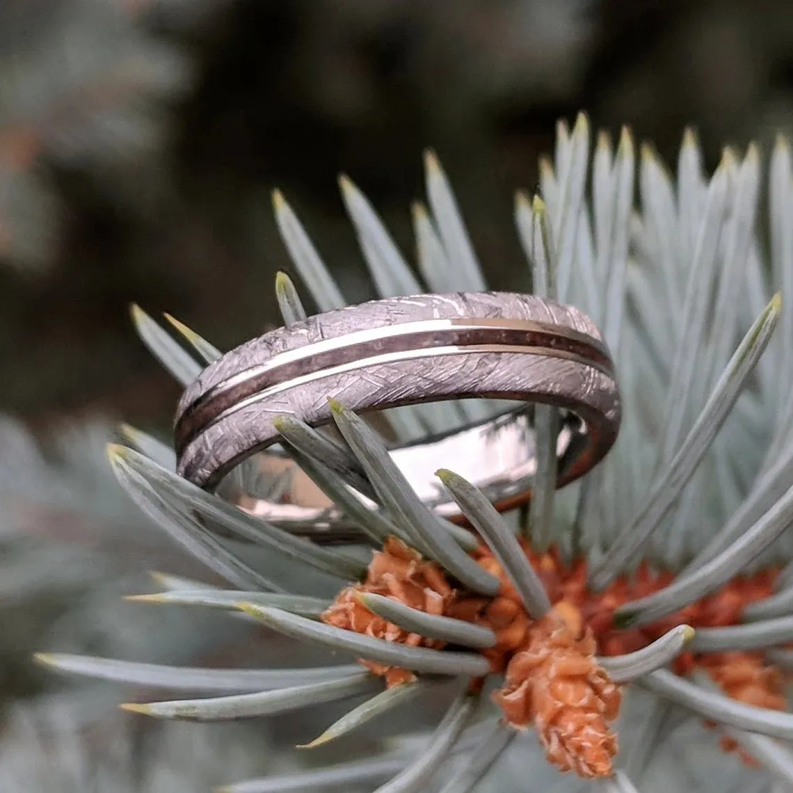 Dinosaur Bone and Gibeon Meteorite Ring, 5mm Custom Made Meteorite Wedding Band