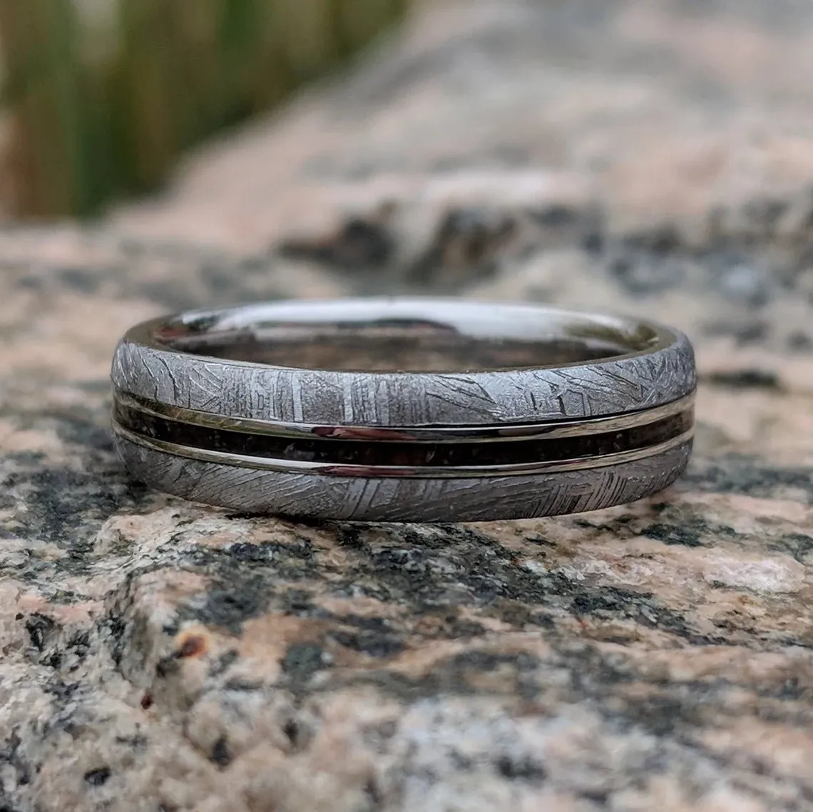 Dinosaur Bone and Gibeon Meteorite Ring, 5mm Custom Made Meteorite Wedding Band