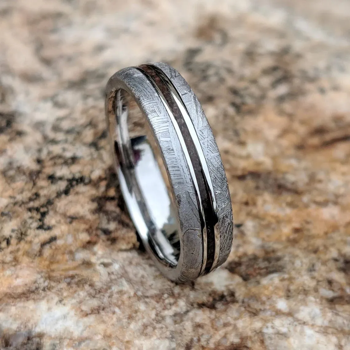 Dinosaur Bone and Gibeon Meteorite Ring, 5mm Custom Made Meteorite Wedding Band