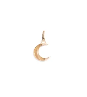 Gemstone Crescent - Karma : 15mm Medallion Champagne Citrine with Annex Link