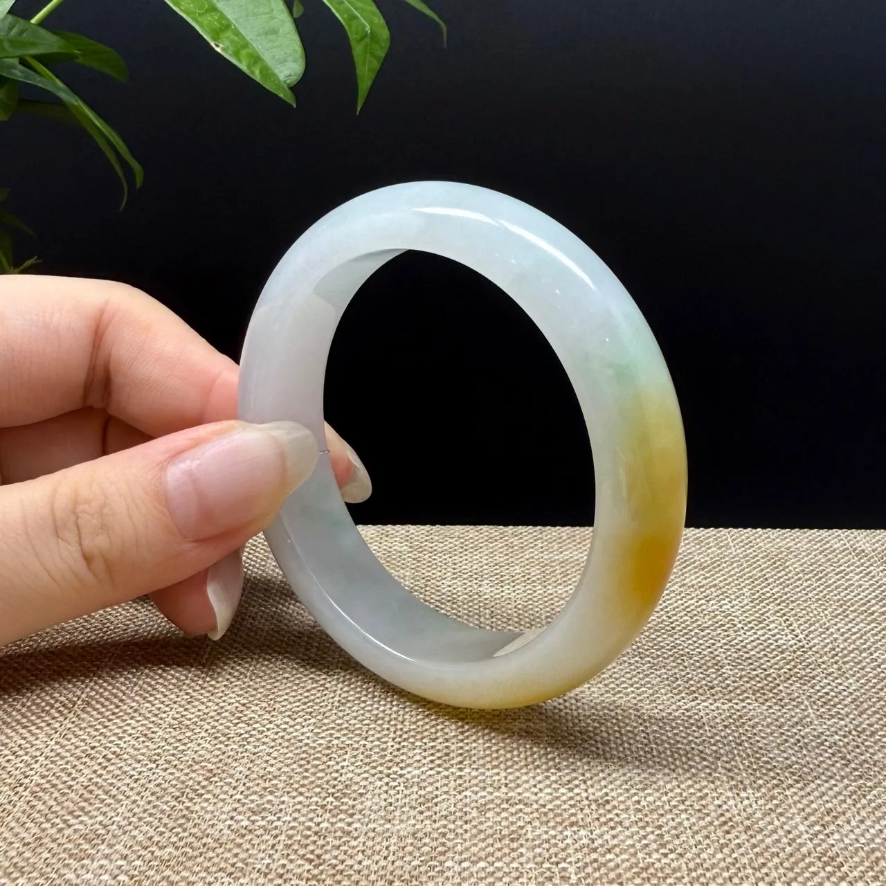 Genuine Burmese Yellow Green Jade Jadeite Bangle Bracelet ( 53mm )