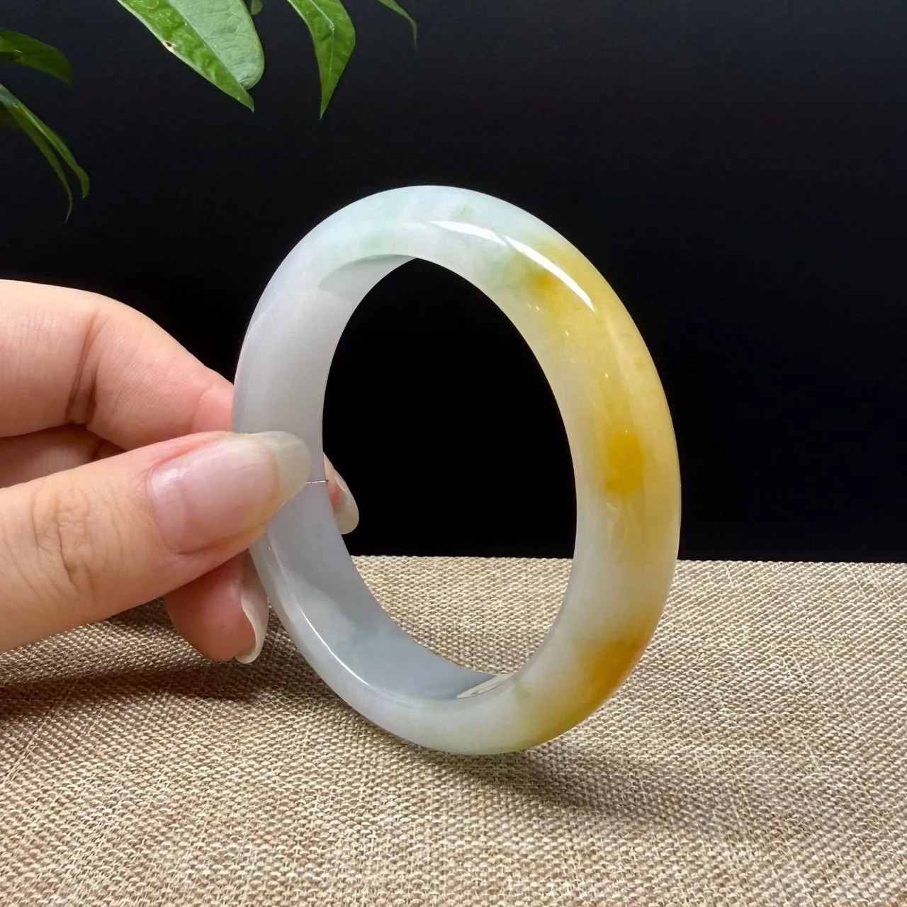 Genuine Burmese Yellow Green Jade Jadeite Bangle Bracelet ( 53mm )