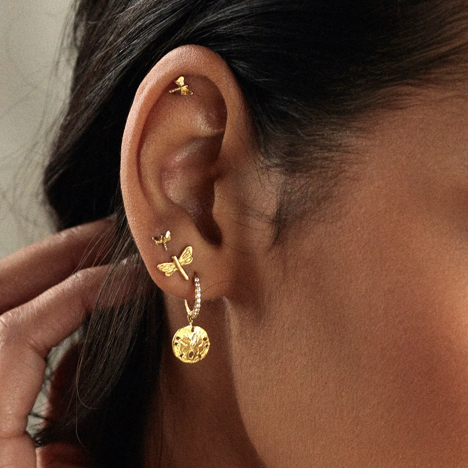 Gold Sand Dollar Hoop Earrings