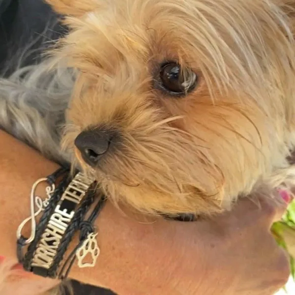 Infinity Love Yorkshire Terrier Bracelet