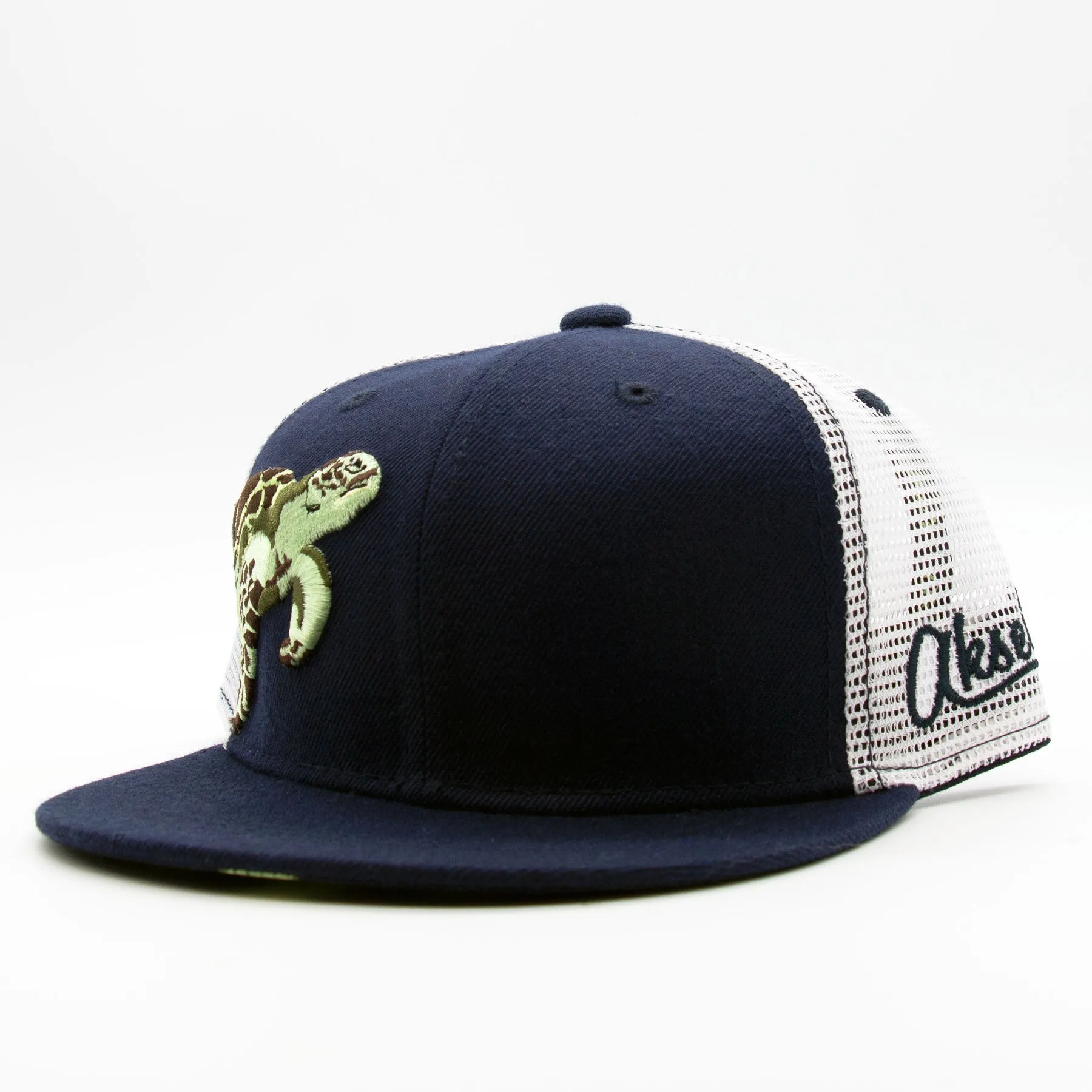 Kids Turtle Flatbill Snapback Hat