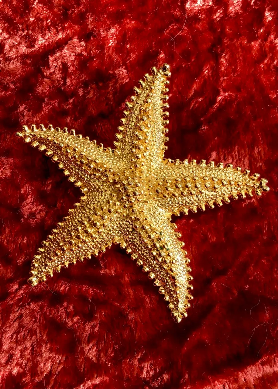 Large Vintage Monet Gold Textured Starfish Brooch